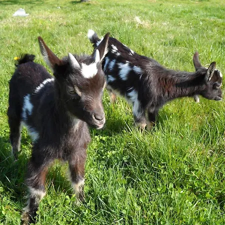 住宿加早餐酒店 A L'oree Du Lin 3*