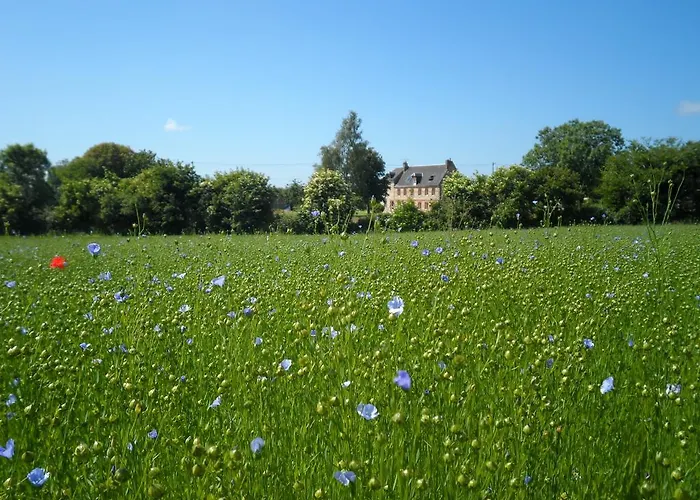 住宿加早餐酒店 A L'oree Du Lin Mentheville